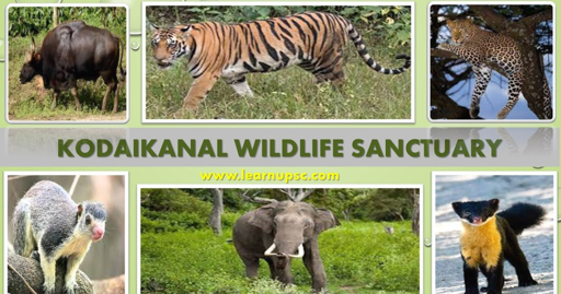 Wildlife You Might Spot on Jeep Trails 2fdf7415 58ca 5674 a205 fcefffcee2a0 1