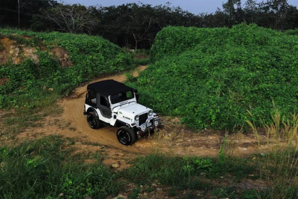 Sustainable Jeep Safaris: Eco-Friendly Operators F 11