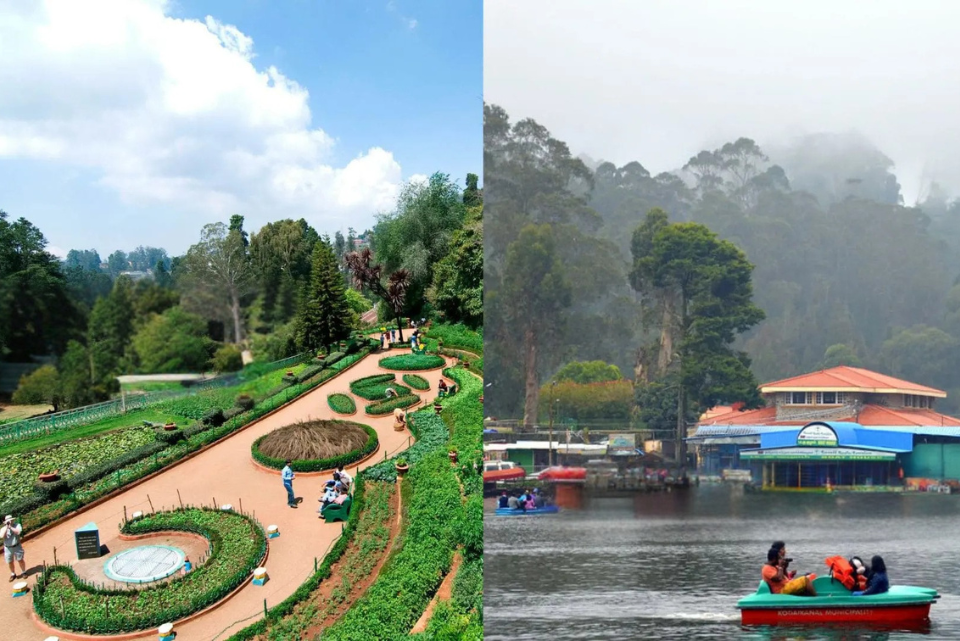 Kodaikanal Jeep Safari vs Ooty/Dindigul: A Complete Comparison F 12