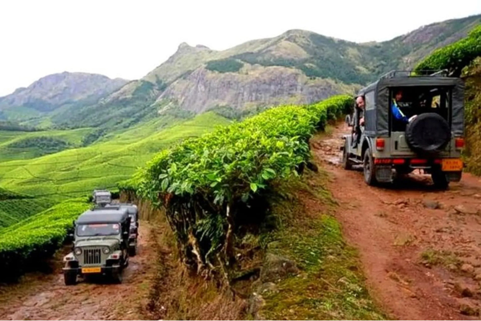 Tea Estate Jeep Trails: Plantation Safari Routes F 5