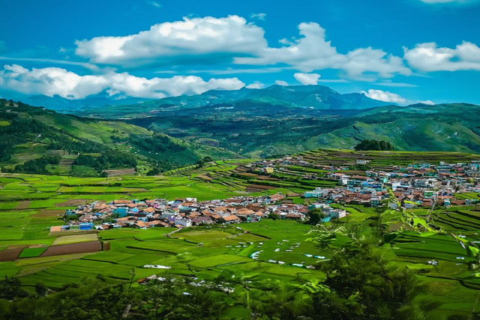 Kodaikanal Jeep Safari + Tribal Village Experience F 6